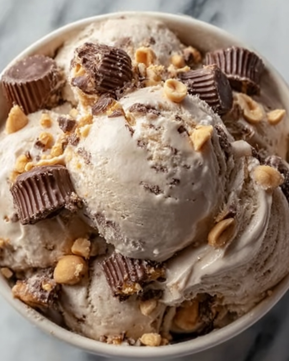 Moose Tracks Ice Cream with Peanut Butter Cups & Fudge Recipe - Recipe Image