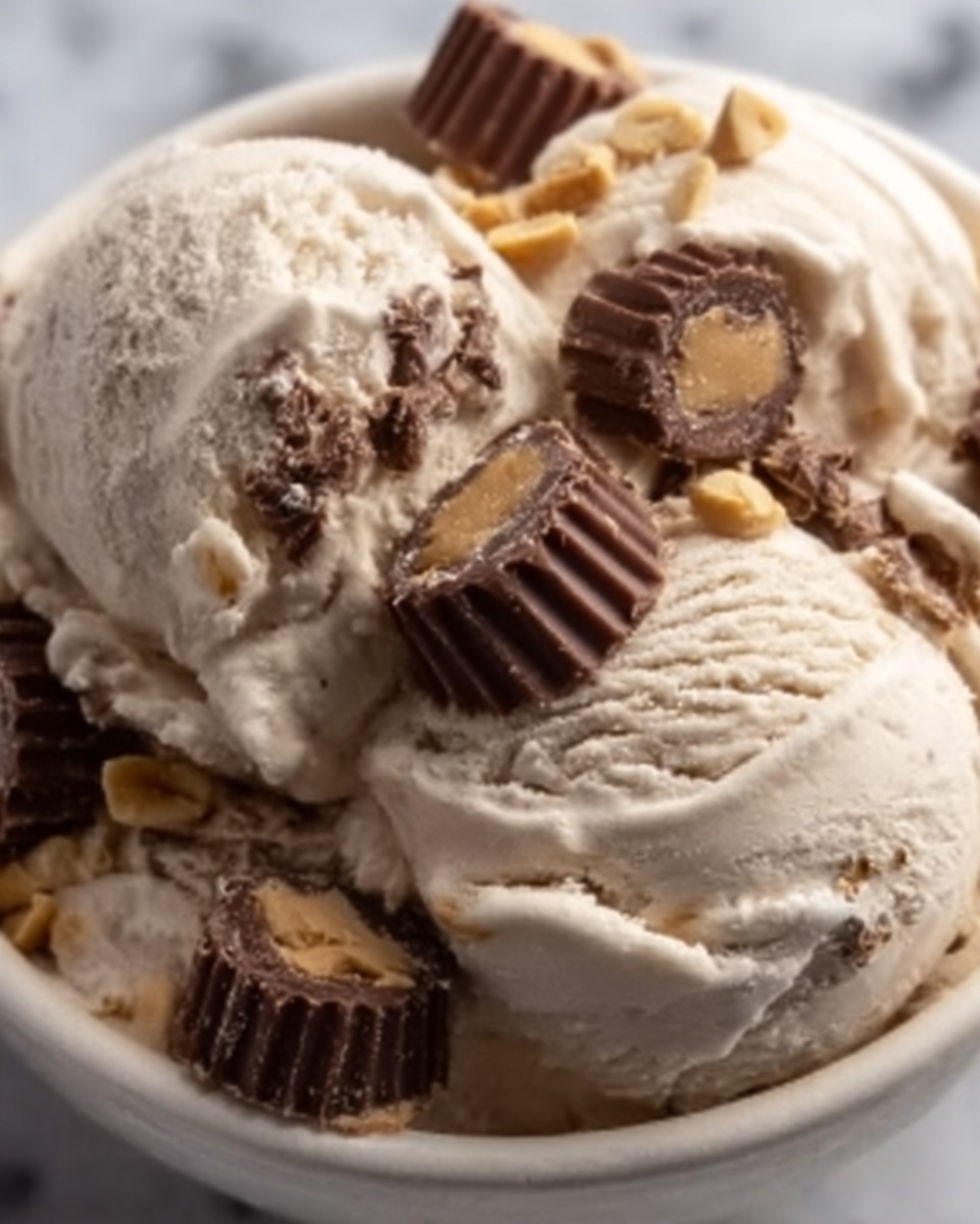Moose Tracks Ice Cream with Peanut Butter Cups & Fudge Recipe - Recipe Image
